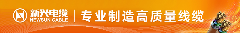 廣州市新興電纜實業(yè)有限公司
